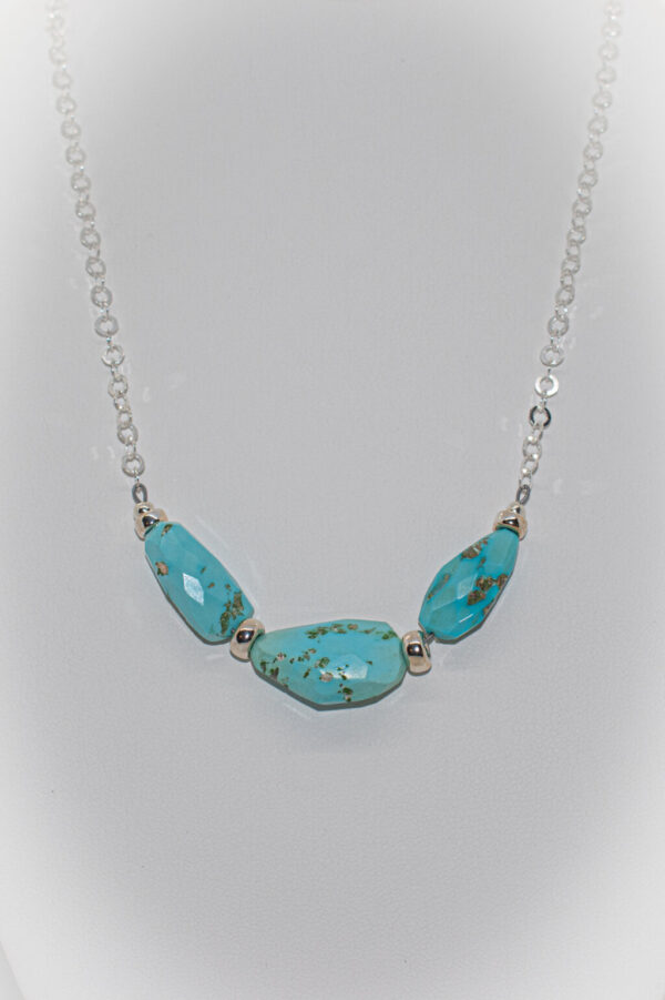 Shop Wyoming Turquoise & Sterling Silver Necklace TPN-19