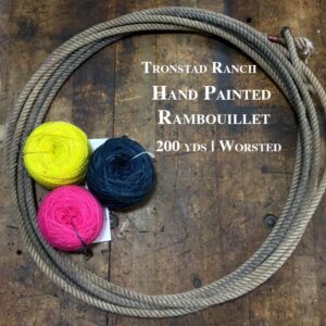 Shop Wyoming Tronstad Ranch Hand Painted Rambouillet 2 Ply Worsted Weight Yarn