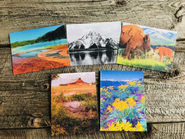 Shop Wyoming Wyoming Card Pack