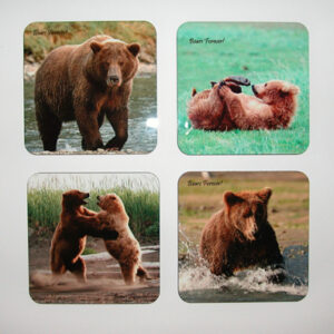 Shop Wyoming Sets of Four Wildlife Photography Coasters