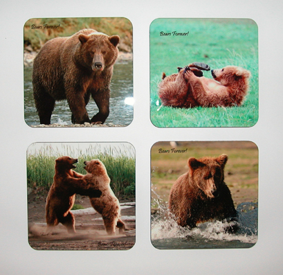 Shop Wyoming Sets of Four Wildlife Photography Coasters