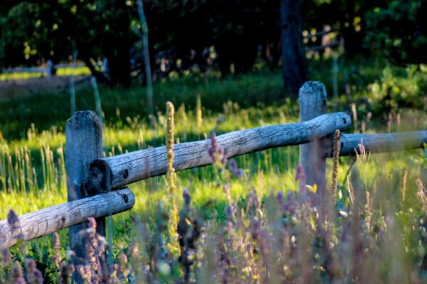 Shop Wyoming Nature Photo Cards (Set of 12)