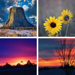 Shop Wyoming Coasters (set of four)