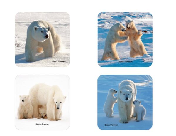 Shop Wyoming Sets of Four Wildlife Photography Coasters