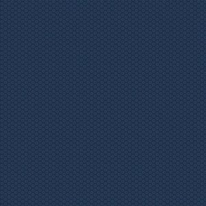 Shop Wyoming Navy on Navy Tiny Rings Fabric