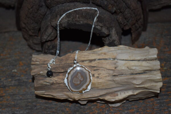Shop Wyoming Wyoming Petrified Wood Necklace, Sterling Silver
