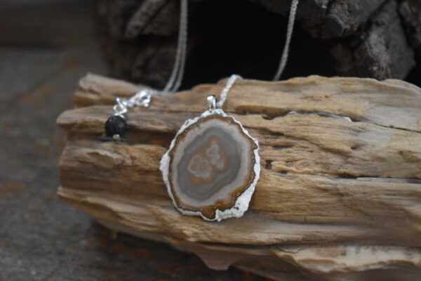 Shop Wyoming Wyoming Petrified Wood Necklace, Sterling Silver