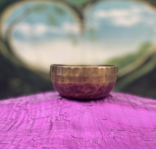 Shop Wyoming Himalayan Singing Bowl Note B