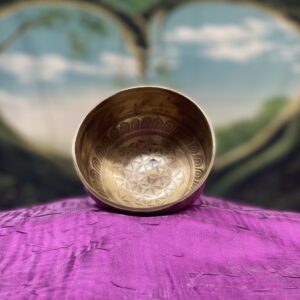 Shop Wyoming Himalayan Singing Bowl Note B