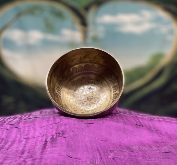 Shop Wyoming Himalayan Singing Bowl Note B