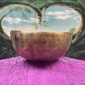 Shop Wyoming Himalayan Singing Bowl Note F