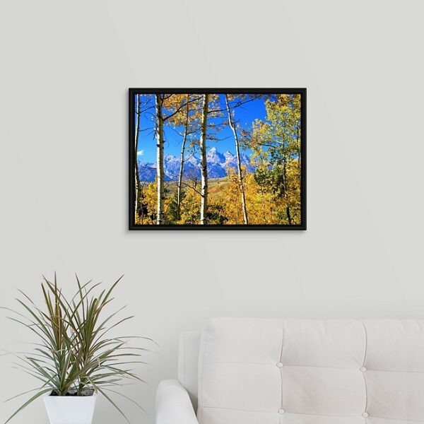Shop Wyoming 16×20 Framed Grand Teton Canvas