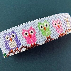 Shop Wyoming Cute Whimsical Owl Peyote Large Beaded Barrette in Purple Green and Pink on Blue