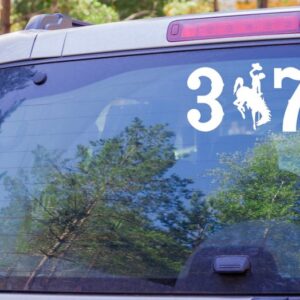Shop Wyoming Wyoming Bucking Cowboy 307 Decal