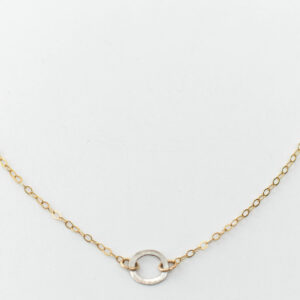 Shop Wyoming Tiny Hoop Necklace | Gold Filled