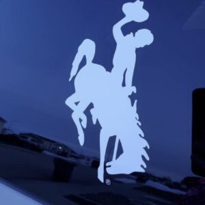 Shop Wyoming Wyoming Bucking Cowboy Steamboat Decal