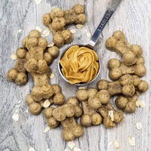 Shop Wyoming Oatmeal Peanut Butter Handmade Gourmet Dog Treats – 4 oz. Bag