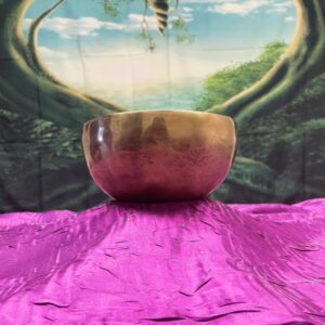 Shop Wyoming Himalayan Singing Bowl Note C
