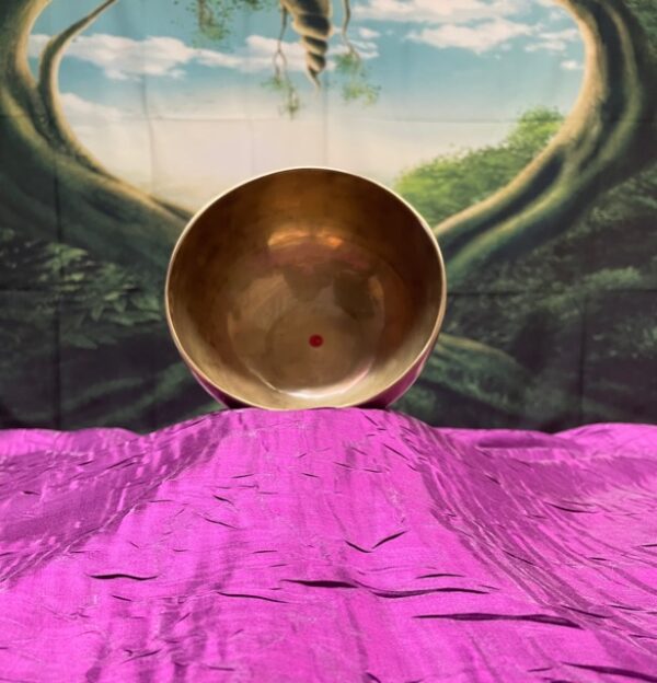 Shop Wyoming Himalayan Singing Bowl Note C