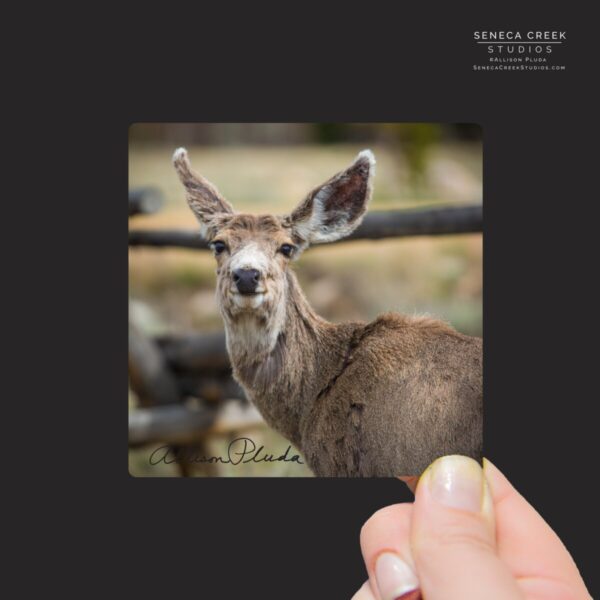 Shop Wyoming “Smiling Mule Deer at the Buck Rail Fence” Mini Metal Print