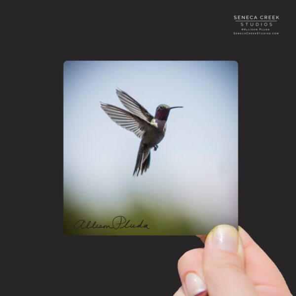 Shop Wyoming “Hummingbird in Flight” Mini Metal Print