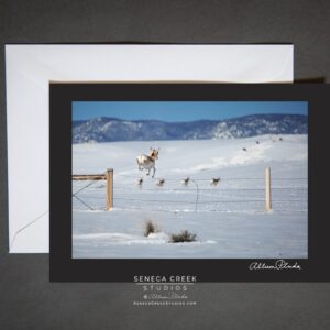 Shop Wyoming “Jumping Pronghorn Antelope” Photo Art Greeting Card