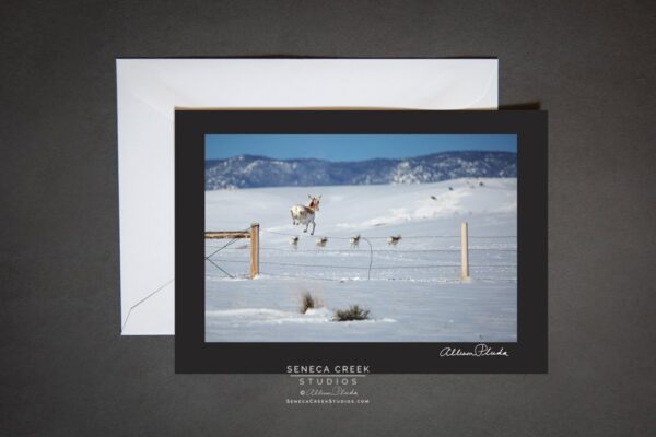 Shop Wyoming “Jumping Pronghorn Antelope” Photo Art Greeting Card
