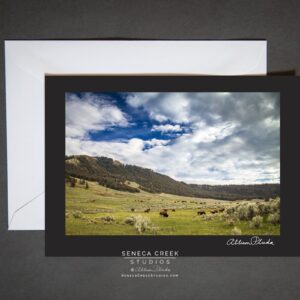 Shop Wyoming “Valley of Bison, Wyoming” Photo Art Greeting Card