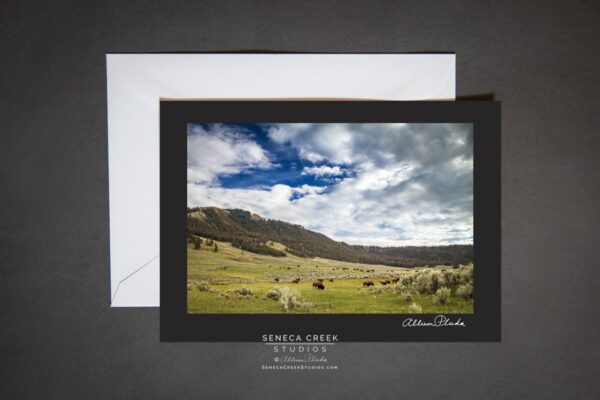 Shop Wyoming “Valley of Bison, Wyoming” Photo Art Greeting Card