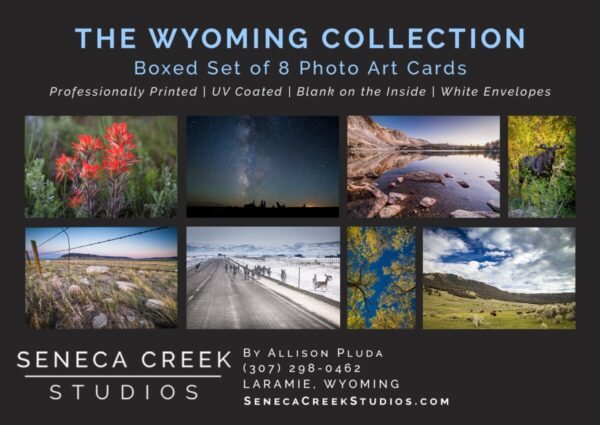 Shop Wyoming “The Wyoming Collection” Boxed Set of 8 Photo Art Greeting Cards