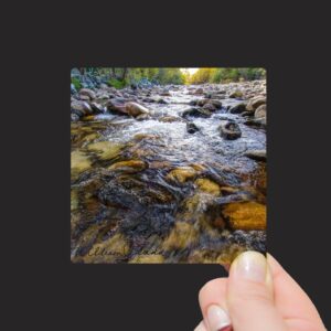 Shop Wyoming “North Fork of the Little Laramie River, Centennial, Wyoming” Mini Metal Print