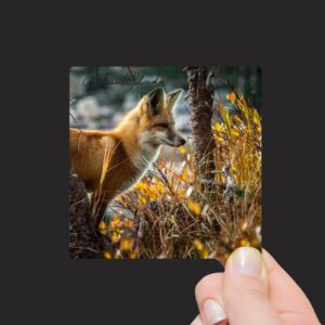 Shop Wyoming “Red Fox in Wyoming” Mini Metal Print