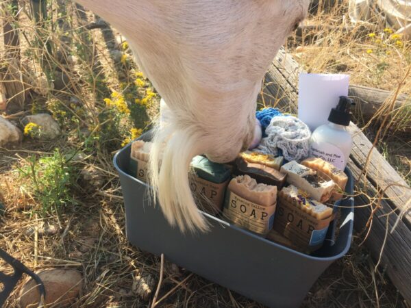 Shop Wyoming Lemon Myrtle Goat Milk Soap
