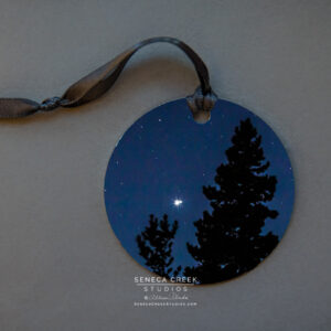 Shop Wyoming “Christmas Star” Fine Art Metal Print Ornaments