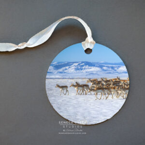 Shop Wyoming “Winter Herd of Pronghorn Antelope” Fine Art Metal Print Ornaments
