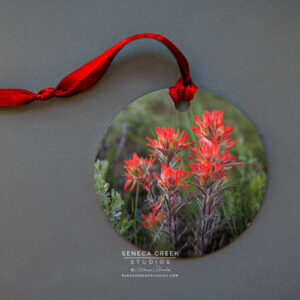 Shop Wyoming “Wyoming Indian Paintbrush Wildflower” Fine Art Metal Print Ornaments