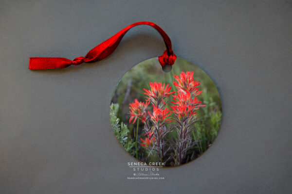 Shop Wyoming “Wyoming Indian Paintbrush Wildflower” Fine Art Metal Print Ornaments