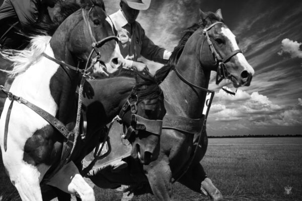 Shop Wyoming Pick Up Riders – Photography Print