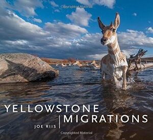 Shop Wyoming Yellowstone Migrations: Preserving Freedom to Roam
