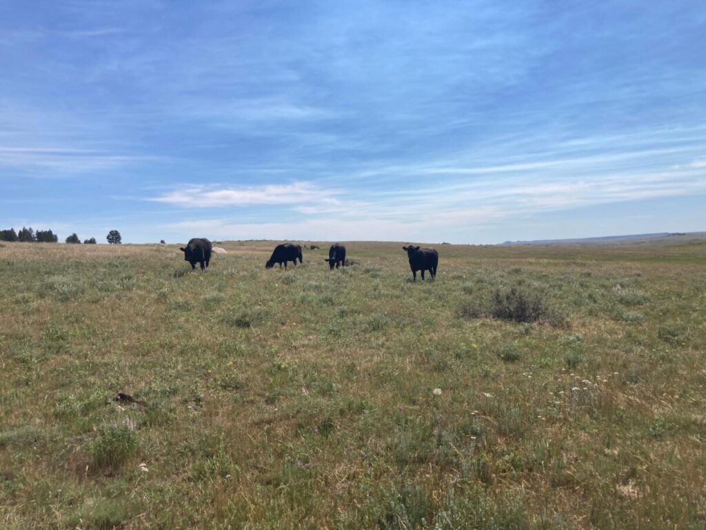 10Lb Beef Bundle Shop Wyoming