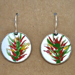 Shop Wyoming Indian paintbrush. Earrings