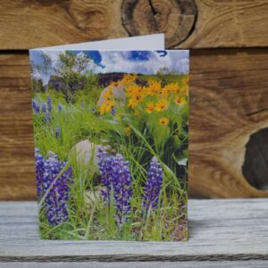 Shop Wyoming Wildflower Greeting Card