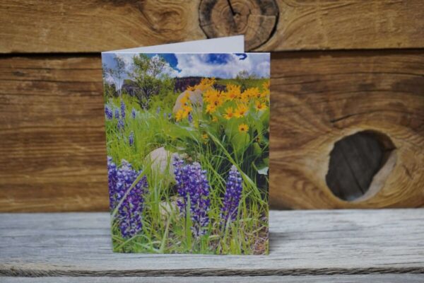 Shop Wyoming Wildflower Greeting Card