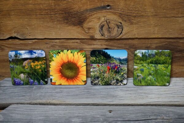 Shop Wyoming Wildflower Coasters- Set of 4