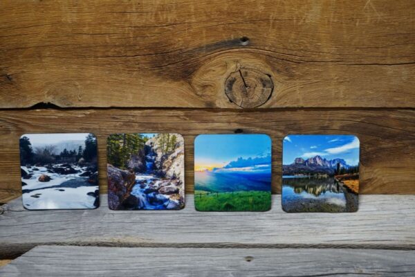 Shop Wyoming Wyoming Seasonal Coaster Set- Set of 4