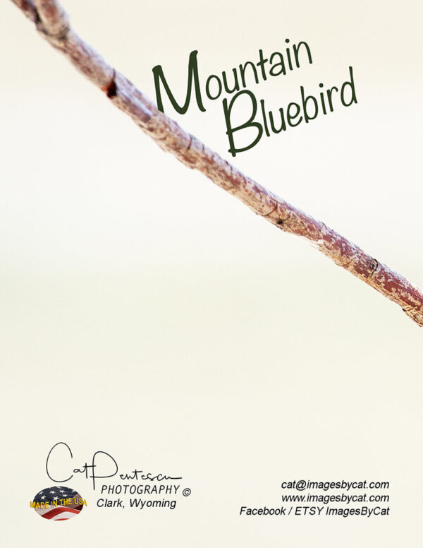 Shop Wyoming Note Cards – MOUNTAIN BLUE