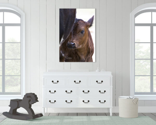 Shop Wyoming BABY MOO