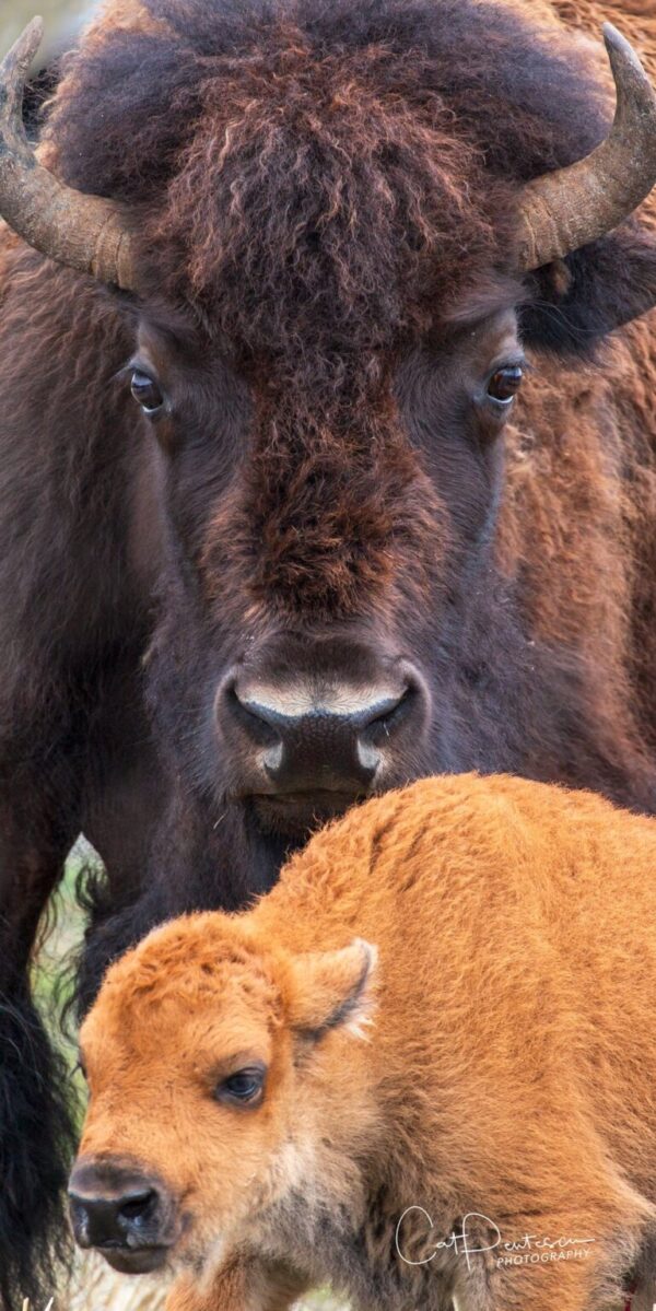 Shop Wyoming PROTECTED