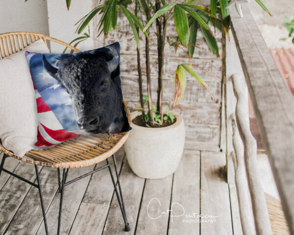 Shop Wyoming POWERED BY FREEDOM ACCENT PILLOW COVER