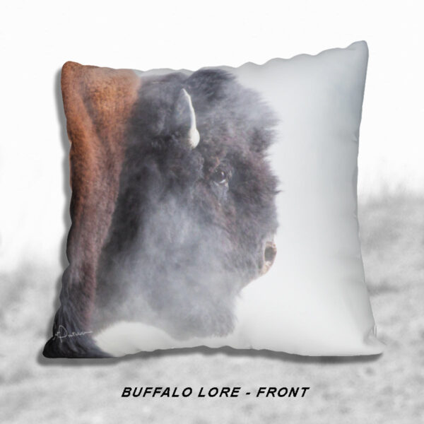 Shop Wyoming BUFFALO LORE ACCENT PILLOW COVER